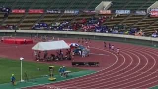 2017年度兵庫県IH男子1500m予選1組