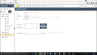 ExtJs Dev - RAD Design Builder Form