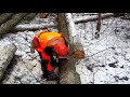 professional tree felling with husqvarna 560xp chain husqvarna technical extreme