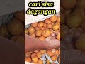 cari sisa dagangan di pasar tradisional