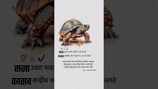 जीवनाचे सत्य ll Marathi Motivational video 2024 by The Marathi Man ll inspiration video #motivation