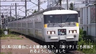 【消えゆく名列車/迷列車シリーズ2】　185系の現状