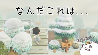 シュガートース島が濃い霧に包まれました。幻想的すぎる...！あつまれどうぶつの森 実況