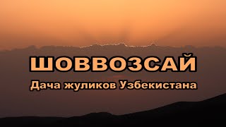 Шоввозсай. Дача жуликов Узбекистана.