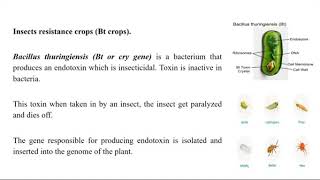 agricultural appl of biotechnology