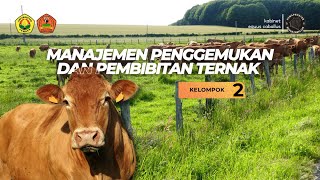 manajemen penggemukan dan pembibitan ternak KELOMPOK 2