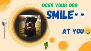 How to Train Your Dog (and Why They Smile When They See You)