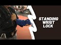 Wrist-Lock from Standing | Jiu Jitsu Brotherhood