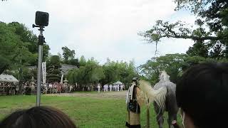 #相馬野馬追(#相馬小高神社) #野馬追込 其ノ壱 ミッション 馬を三体捕えよ