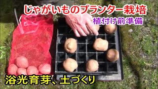 簡単！じゃがいものプランター栽培  植付け前準備 【浴光育芽、土づくり】  2022