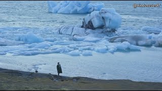 [Eng Sub] 1.20.19 Liu Hao Ran 刘昊然 Kiehl's Iceland Commercial BTS