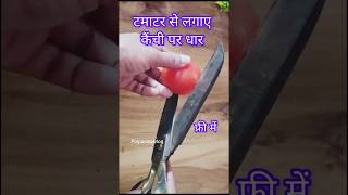 सिर्फ एक टमाटर से लगाए कैंची में धार 😱 फ्री मे #palpalrealvlog #hack #shortfeed #kinchimedharlagaye