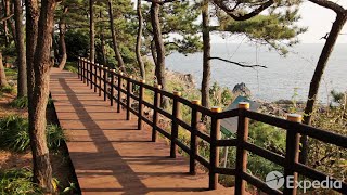 オレウォーキングパス旅行ガイド - 済州島 | エクスペディア