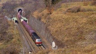 （UHD）遠望・俯瞰　DF200牽引貨物列車