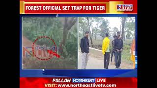 Assam: Tiger Terror Strikes Kaliabar Again