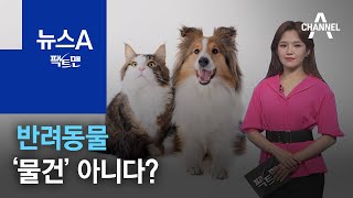 [팩트맨]반려동물, ‘물건’ 아니다? | 뉴스A