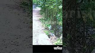 মাত্র 13 লক্ষ 50 হাজার টাকায় বাড়িটি বিক্রয় হবে