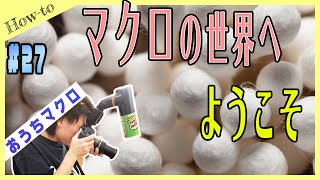 【#27】 タムキューでおうちマクロ！身近なものをマクロで写すと・・・？！