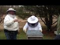 finishing installation of honeybees at their new hive