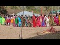 sri sri sungapur bheemmanna devuni varshik jathara mahoshavam kolam tribal culture dance