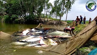 Wonderful ! Bangladeshi Village Best Fishing | Nice Old and Young Mans Fish Hunting by Bamboo Trap