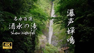 【名水百選・酒水の滝 4K 高画質】酒水の滝と蝉しぐれ　自然音で癒され整うASMR・4H