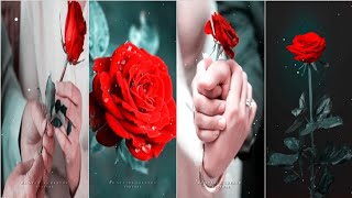 7th February_Rose_Day_Special_x_Kina Chir 🌹❤️_Whatsapp_Status_RR_STATUS_CREATOR_Video.