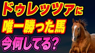 菊花賞馬ドゥレッツァに唯一勝った馬、今なにしてる？