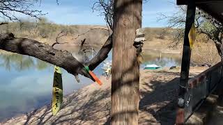 Mesquite Ranch Campground