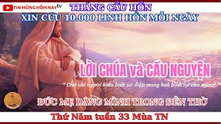 Lời Chúa và Cầu Nguyện - Thứ Năm tuần 33 Mùa thường niên 21/11/2024