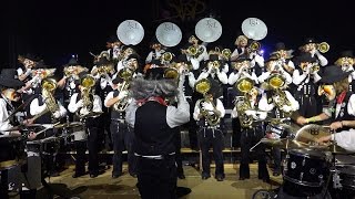 Guggenmusik Trottwarschlurbi  bei Steibruchschränzer Party