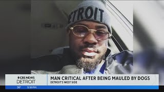 City of Detroit warns residents to follow dog ordinance after man viciously attacked