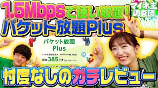 【mineo】1.5Mbpsで使い放題！パケット放題Plusで「できる事」を調査！