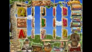 Nyerőgép videók: Going Nuts Jackpot Slot