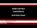 assemblea capitolina martedì 08 ottobre 2024 dalle ore 15 alle 20 .