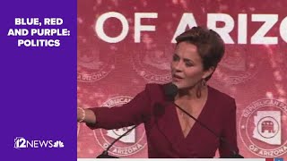 Lake files lawsuit against Maricopa County elections officials
