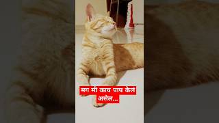 मग मी काय पाप केलं असेल #comedy #funny #karamativlog #dubbing #funnyshorts #viralcat #love #shorts