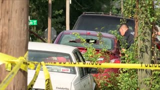 Surprising statistics in Danville's fight against crime