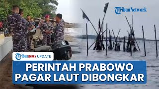 Perintah Langsung Prabowo, Detik-detik Pagar Laut di Tangerang Dibongkar TNI AL Dibantu Nelayan