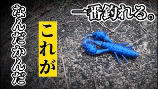 【野池】なんだかんだで一番釣れるワームはコレ。