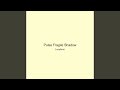 Pulse Fragile Shadow