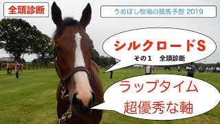 【シルクロードステークス】競馬予想 2019 全頭診断 ～ラップタイムから圧倒的な資質～