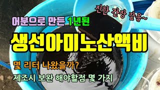 1년된 생선아미노산액비를 걸러보았고 몇리터나 나왔을까요? 쉽게 액비 거르는 방법 생선액비만들때 보완해야할점 아미노산액비의 효능으로 냉해예방, 수세회복, 당도향상