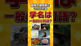 動物や植物等につけられる学名は一般的に何語？【雑学クイズ】