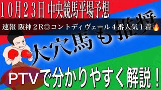 【競馬予想】菊花賞の資金作りはこの馬達だ！大穴馬も推奨【平場予想】