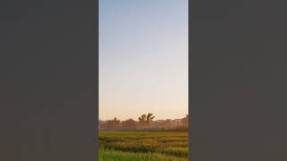 Mesmerizing Laos 🌳 Beautiful Nature and Relaxing Music 🎵 32 #shorts