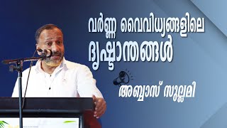 വർണ്ണ വൈവിധ്യങ്ങളിലെ ദൃഷ്ടാന്തങ്ങൾ | Abbas Sullami