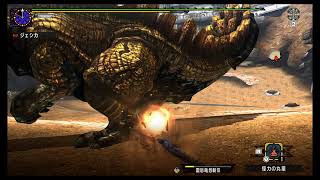 Mhxx 闘技大会 ガノトトス ソロsランク ライトボウガン ブシドー Switch版 高画質 モンスターハンターダブルクロス