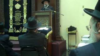 RUBASHKIN ASIFA IN BORO PARK PART 2