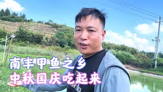 发13万包下来的甲鱼塘，6到8年的老甲鱼，会不会亏【海派封兄弟】